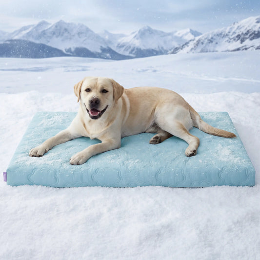 Lesure Orthopedic Cooling Dog Mat - Q-Max>0.5 with Washable Cover, Non-Slip Egg Crate Foam for Extra Large Breeds