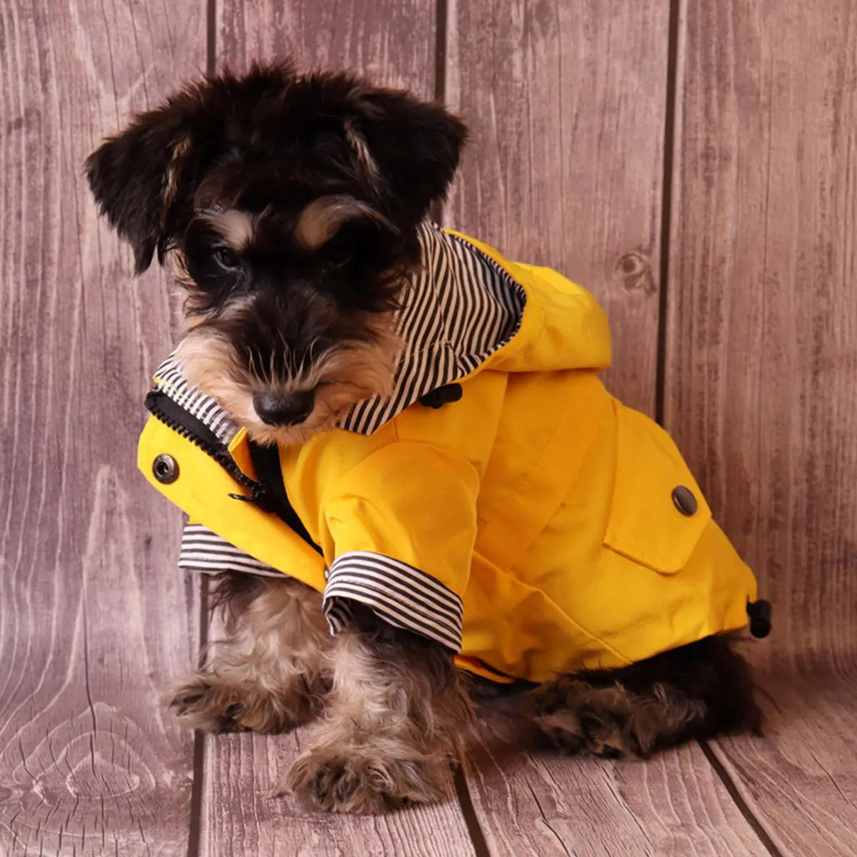 Waterproof Dog Raincoat for Small to Medium Dogs, 1 Count Pet Rain Jacket