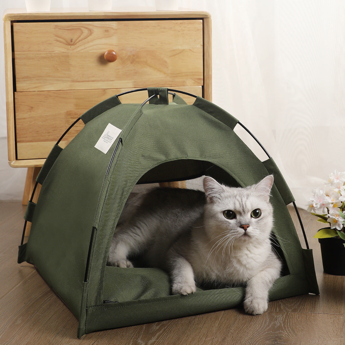 PawPal Adventure Tent