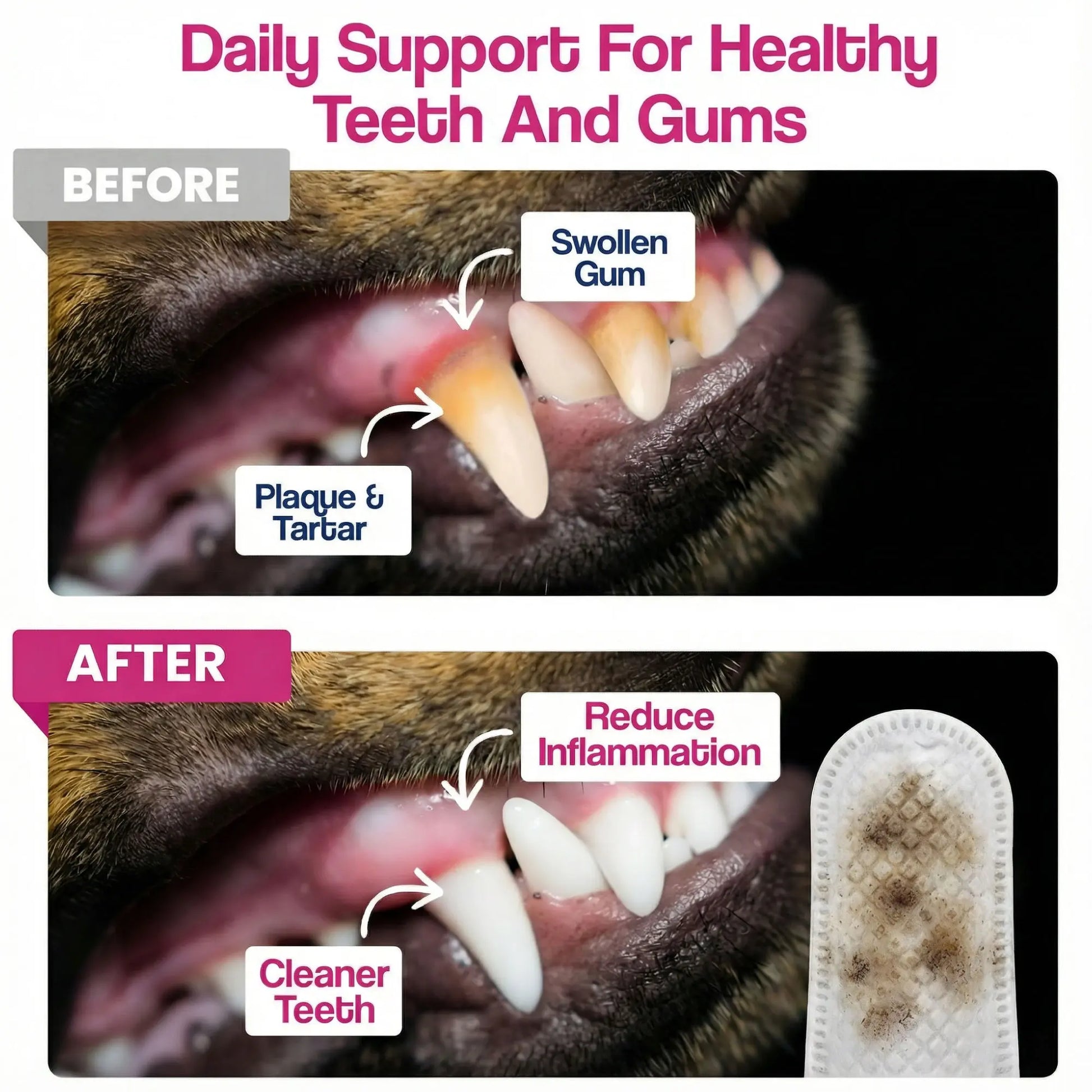 Dr. Paws Pet Care Finger Wipes for Comprehensive Dental, Ear, and Eye Hygiene