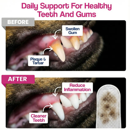 Dr. Paws Pet Care Finger Wipes for Comprehensive Dental, Ear, and Eye Hygiene