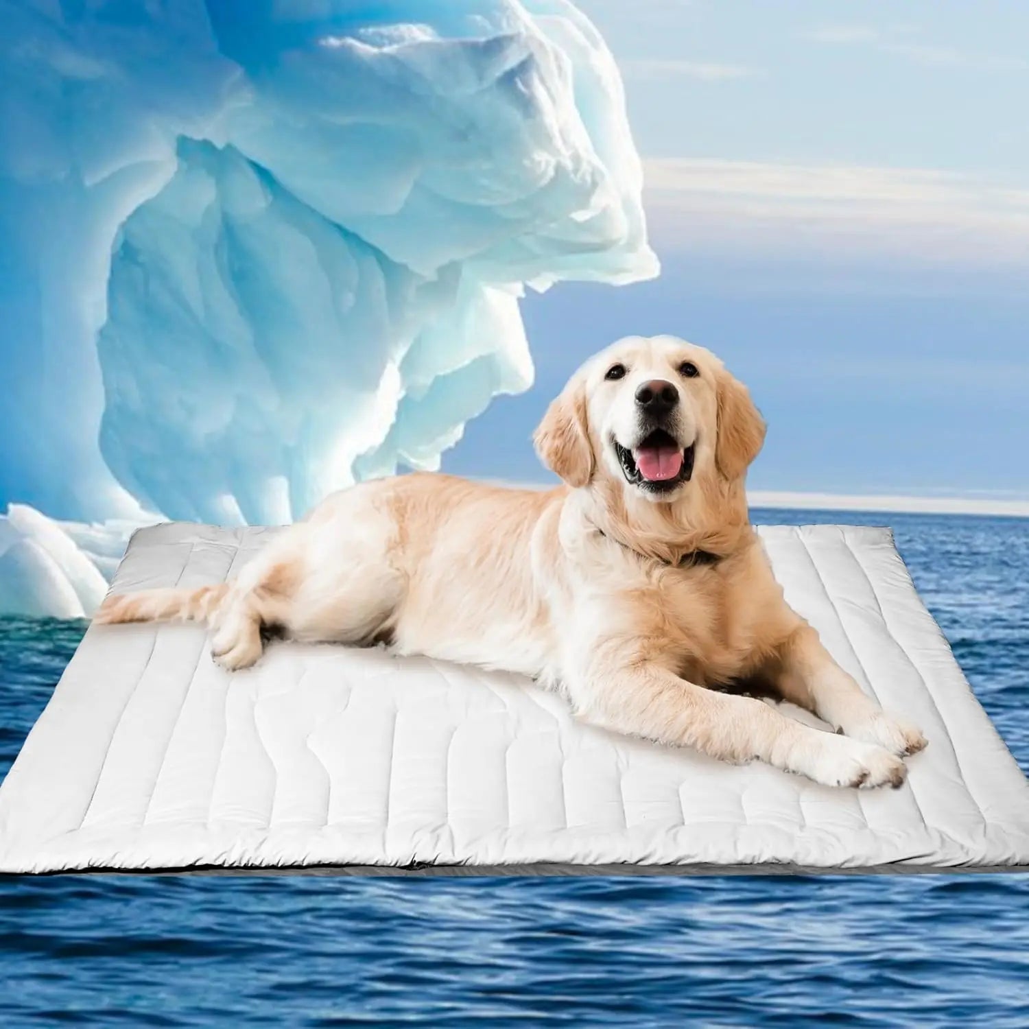 SUMMER COOLING MAT for Large Dogs with Q-MAX>0.4, 48" x 28", Thin Non-Gel Washable Self-Chill Pad, Non-Slip & Foldable for Dogs up to 80 lbs
