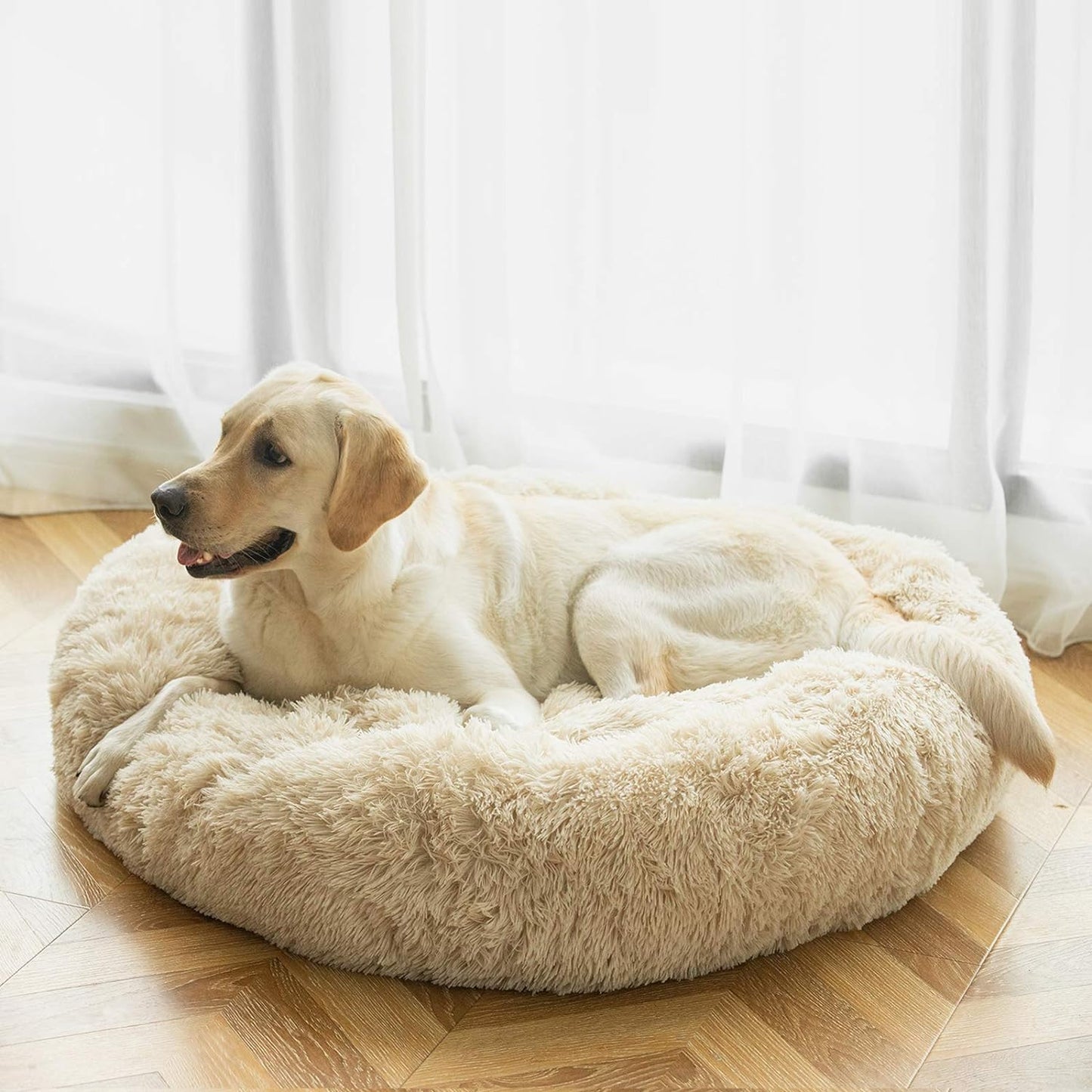 Large Washable Donut Dog Bed - Comfortable Calming Cuddler for Dogs