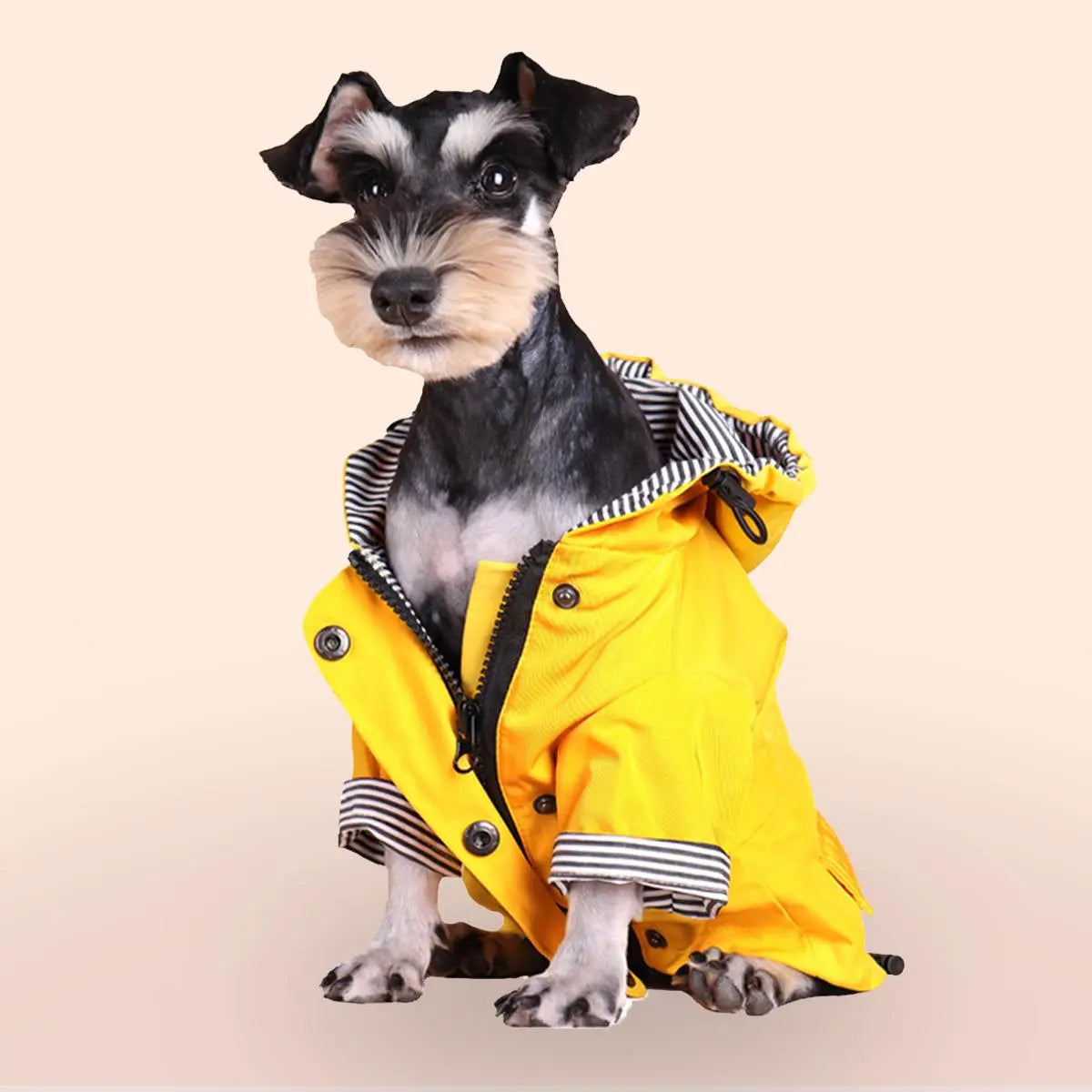 Waterproof Dog Raincoat for Small to Medium Dogs, 1 Count Pet Rain Jacket