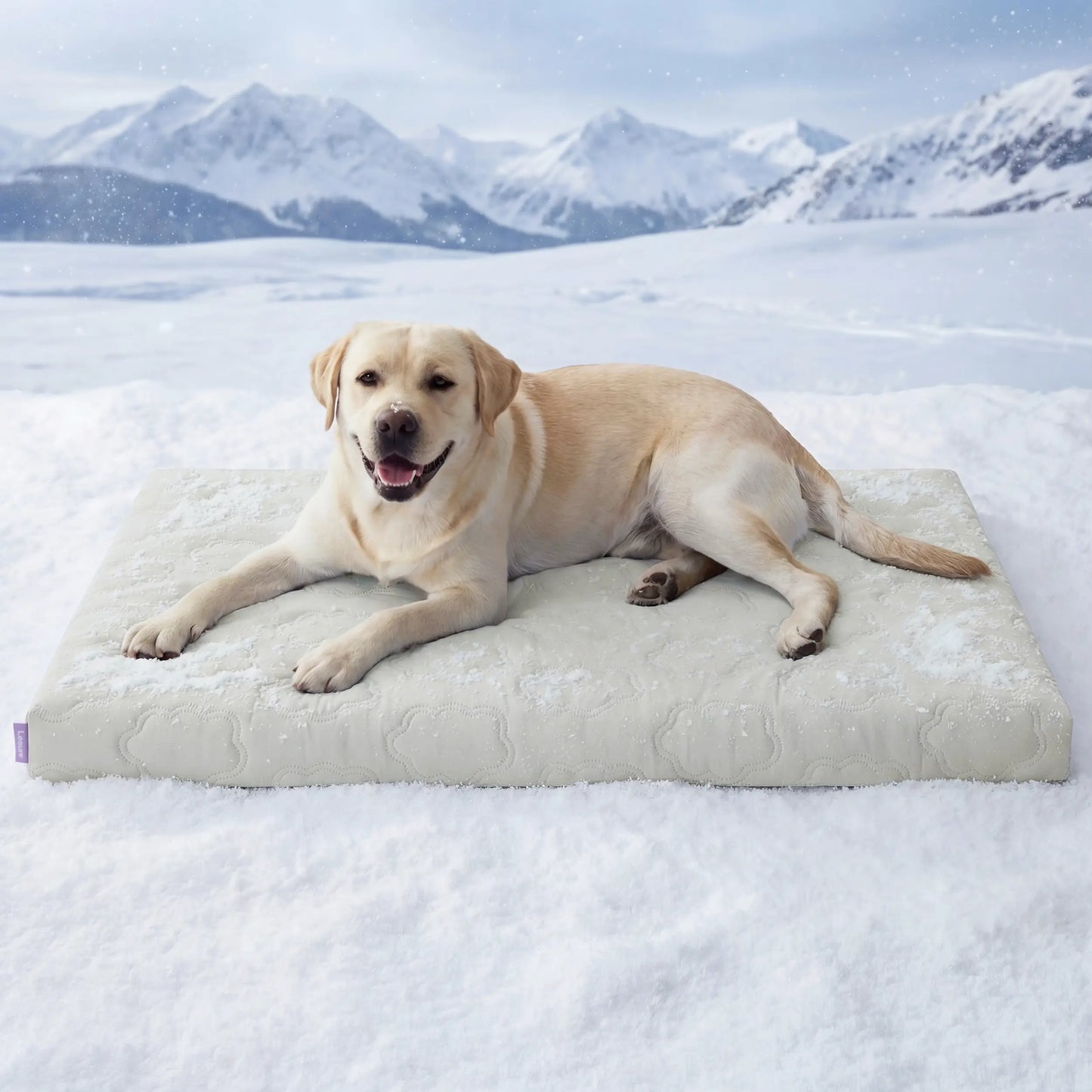 Lesure Orthopedic Cooling Dog Mat - Q-Max>0.5 with Washable Cover, Non-Slip Egg Crate Foam for Extra Large Breeds