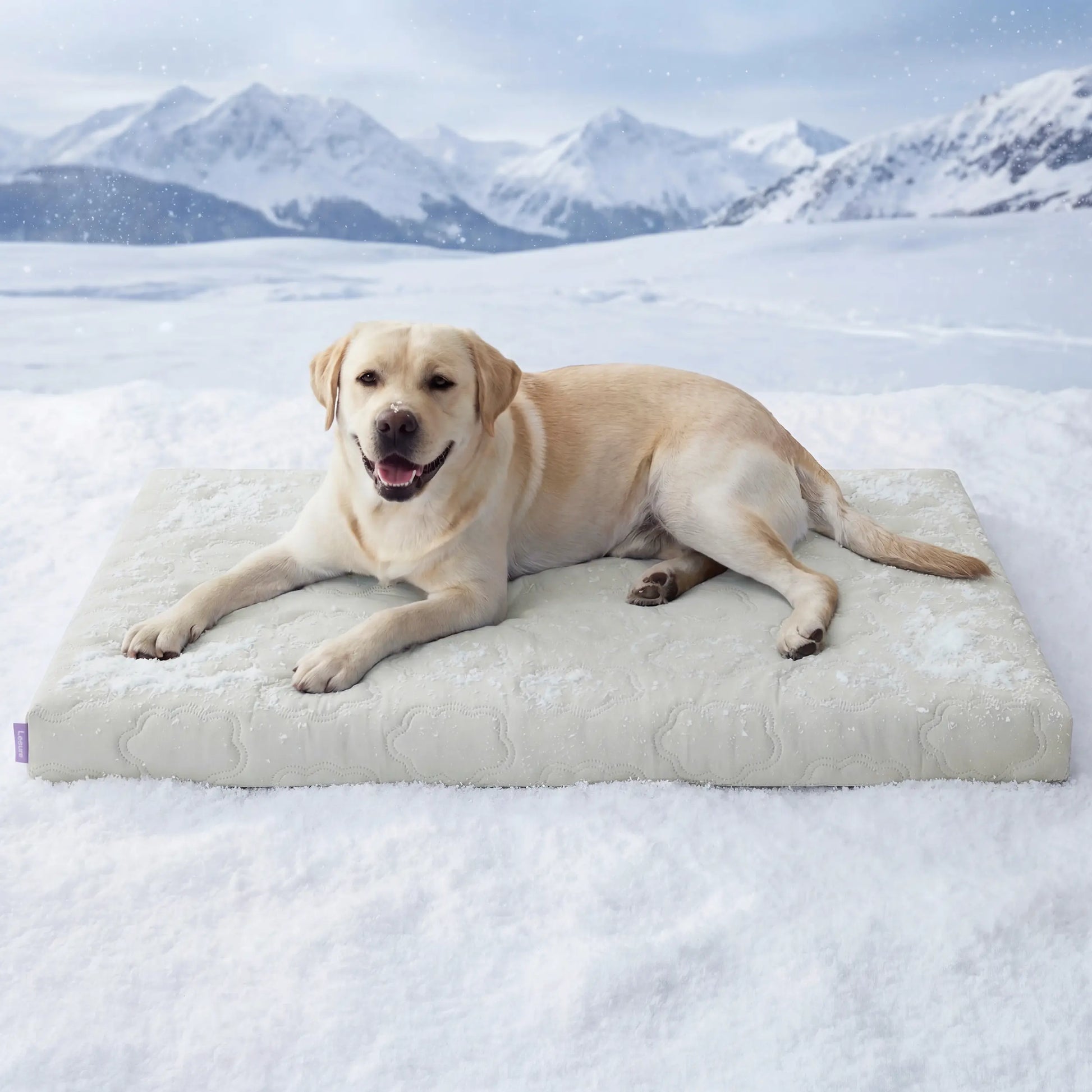 Lesure Orthopedic Cooling Dog Mat - Q-Max>0.5 with Washable Cover, Non-Slip Egg Crate Foam for Extra Large Breeds