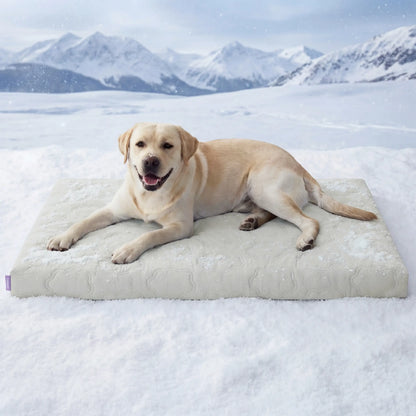 Lesure Orthopedic Cooling Dog Mat - Q-Max>0.5 with Washable Cover, Non-Slip Egg Crate Foam for Extra Large Breeds