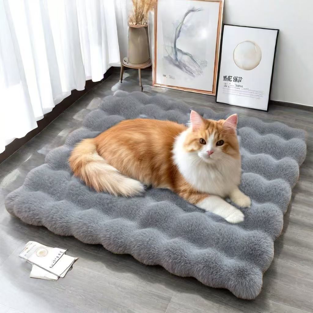 Cloud Plush Pad