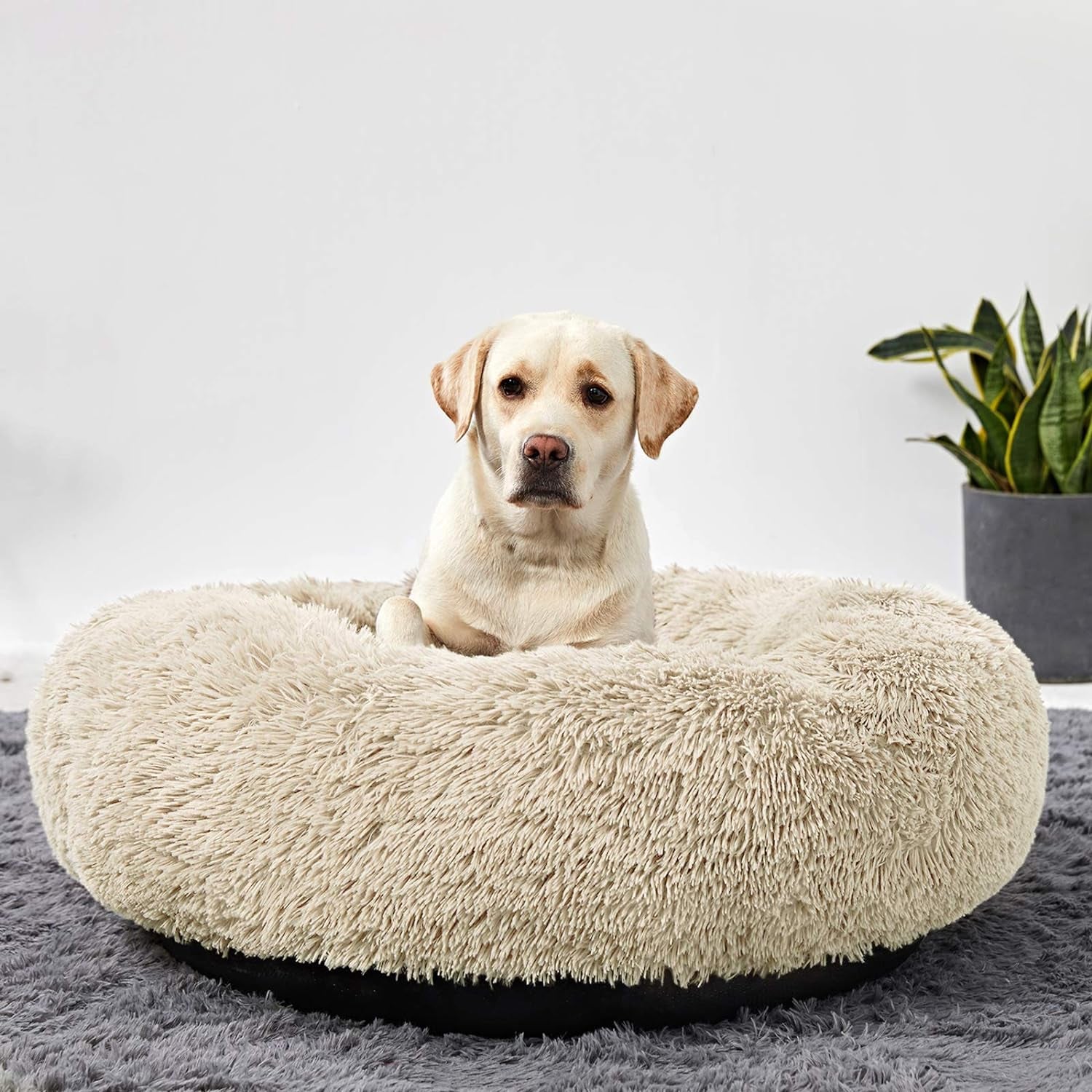 Large Washable Donut Dog Bed - Comfortable Calming Cuddler for Dogs