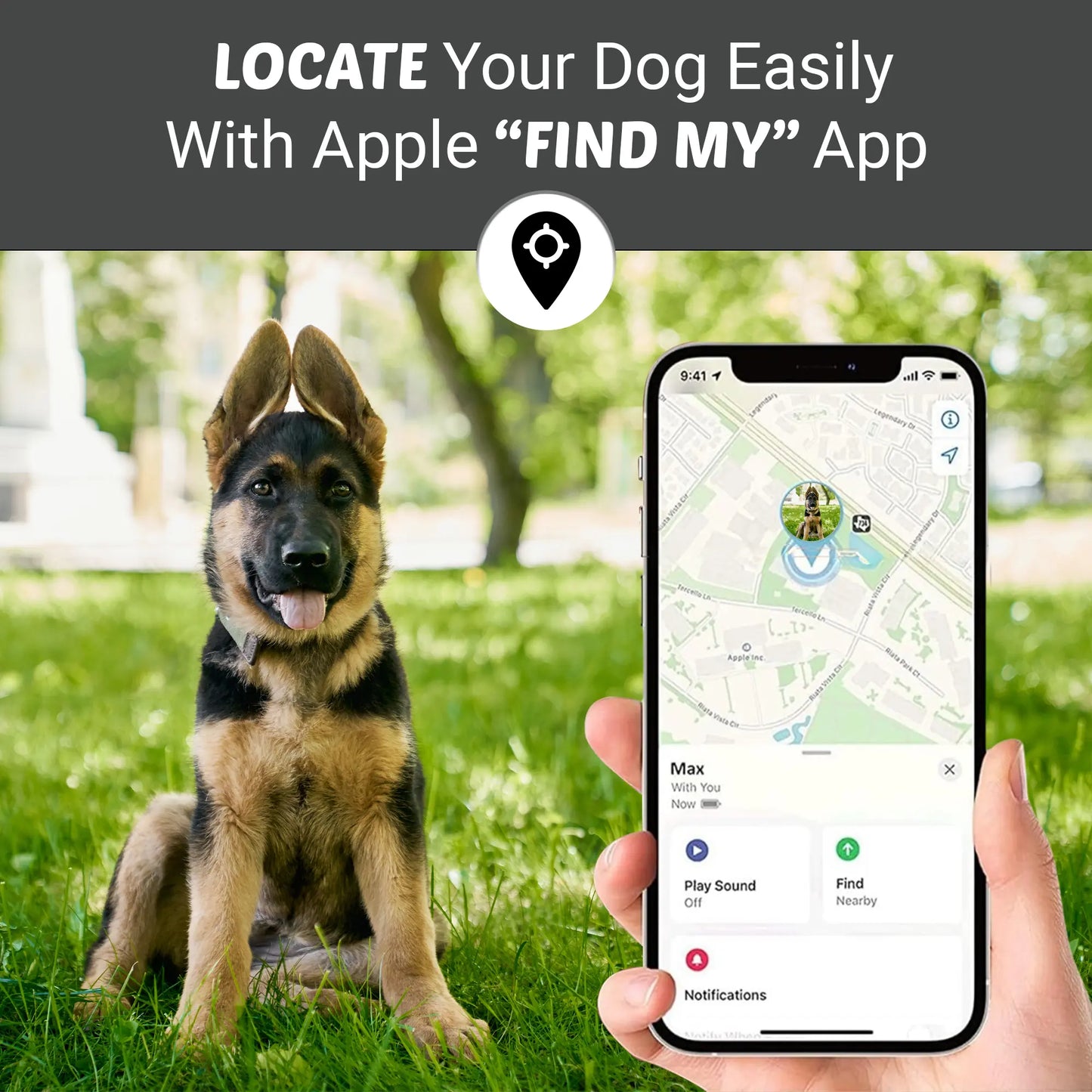 Bon Chien Premium Leather Dog Collar with Apple AirTag Holder - Waterproof and Adjustable Pet Accessory for Secure Tracking of Your Beloved Dogs