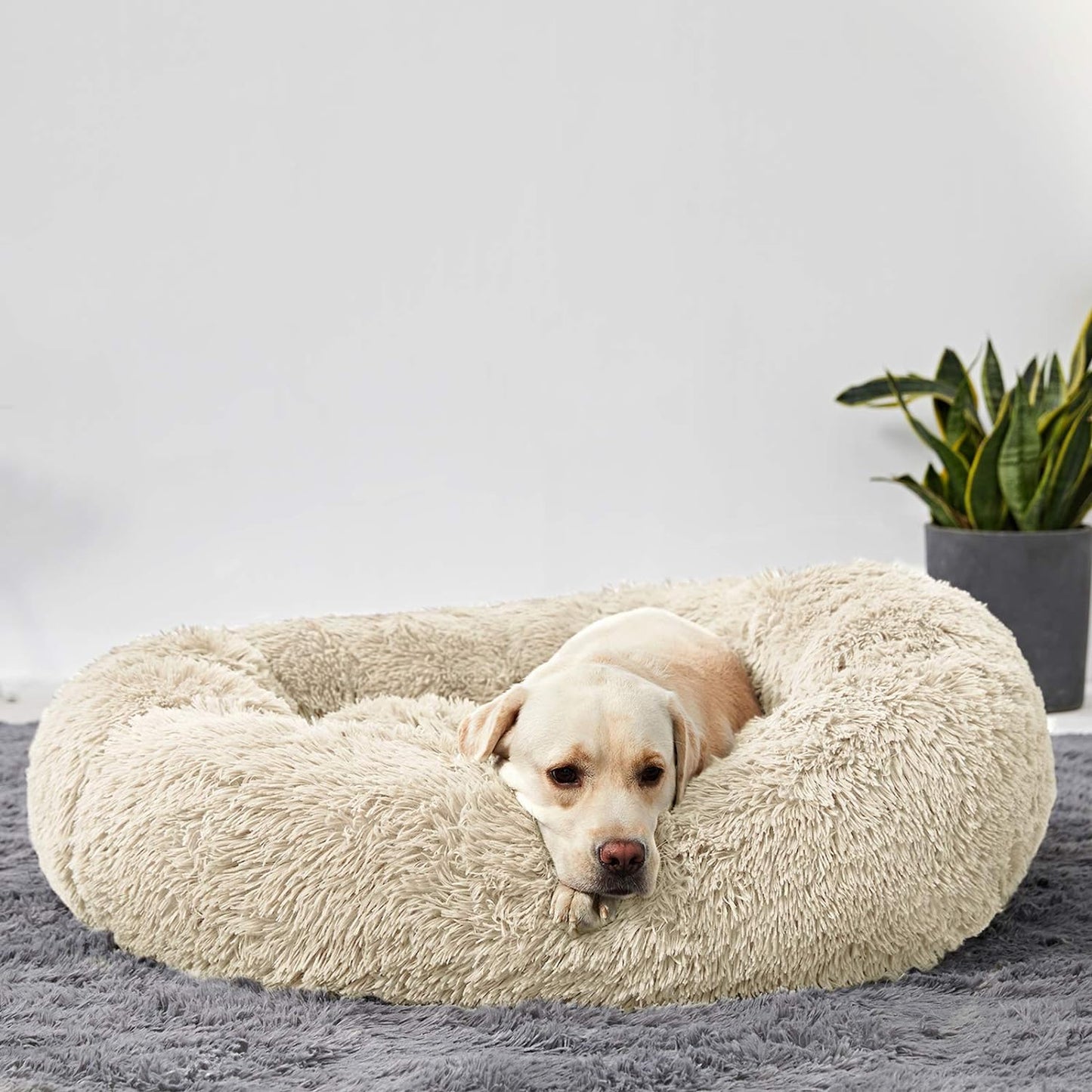 Large Washable Donut Dog Bed - Comfortable Calming Cuddler for Dogs